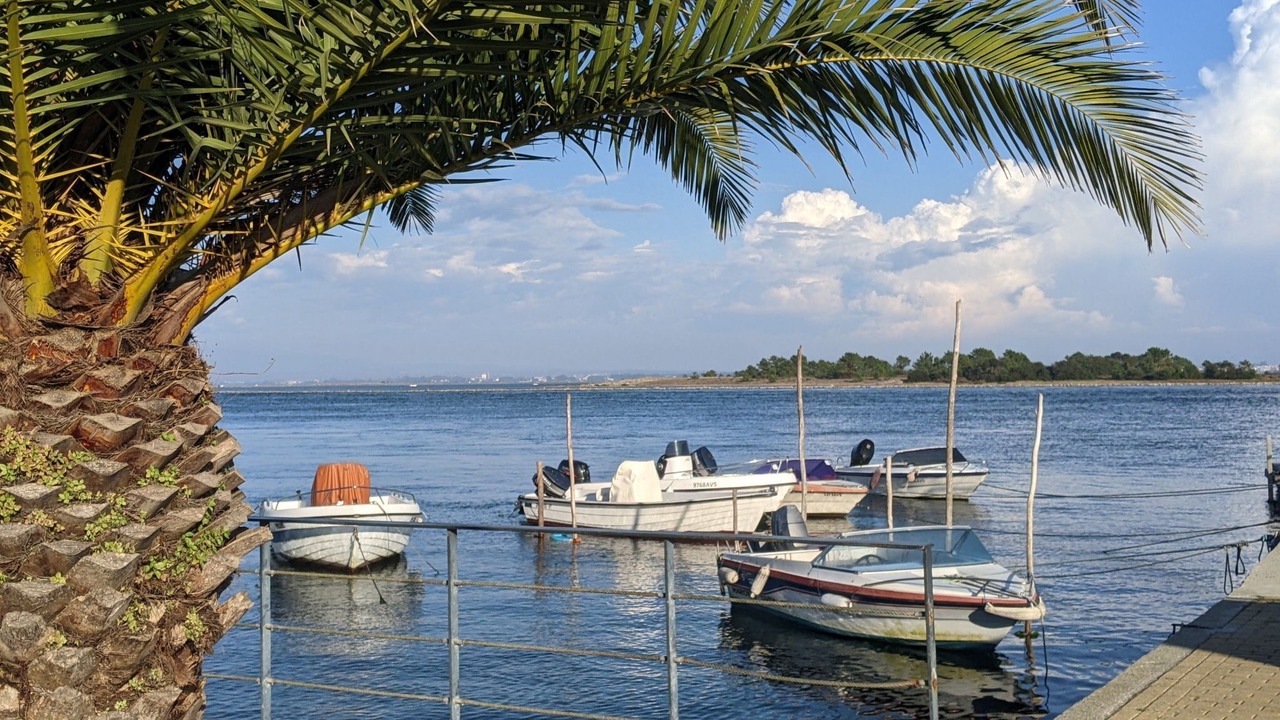 Photo of Others in Sao Jacinto