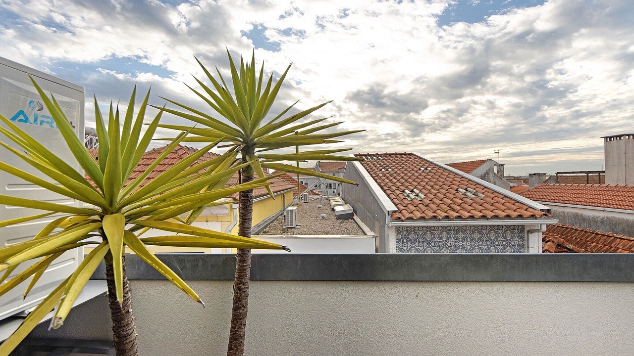 Photo of Outdoor in Aveiro