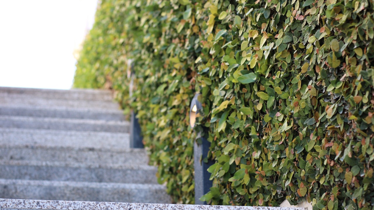 Photo of Outdoor in Guimaraes