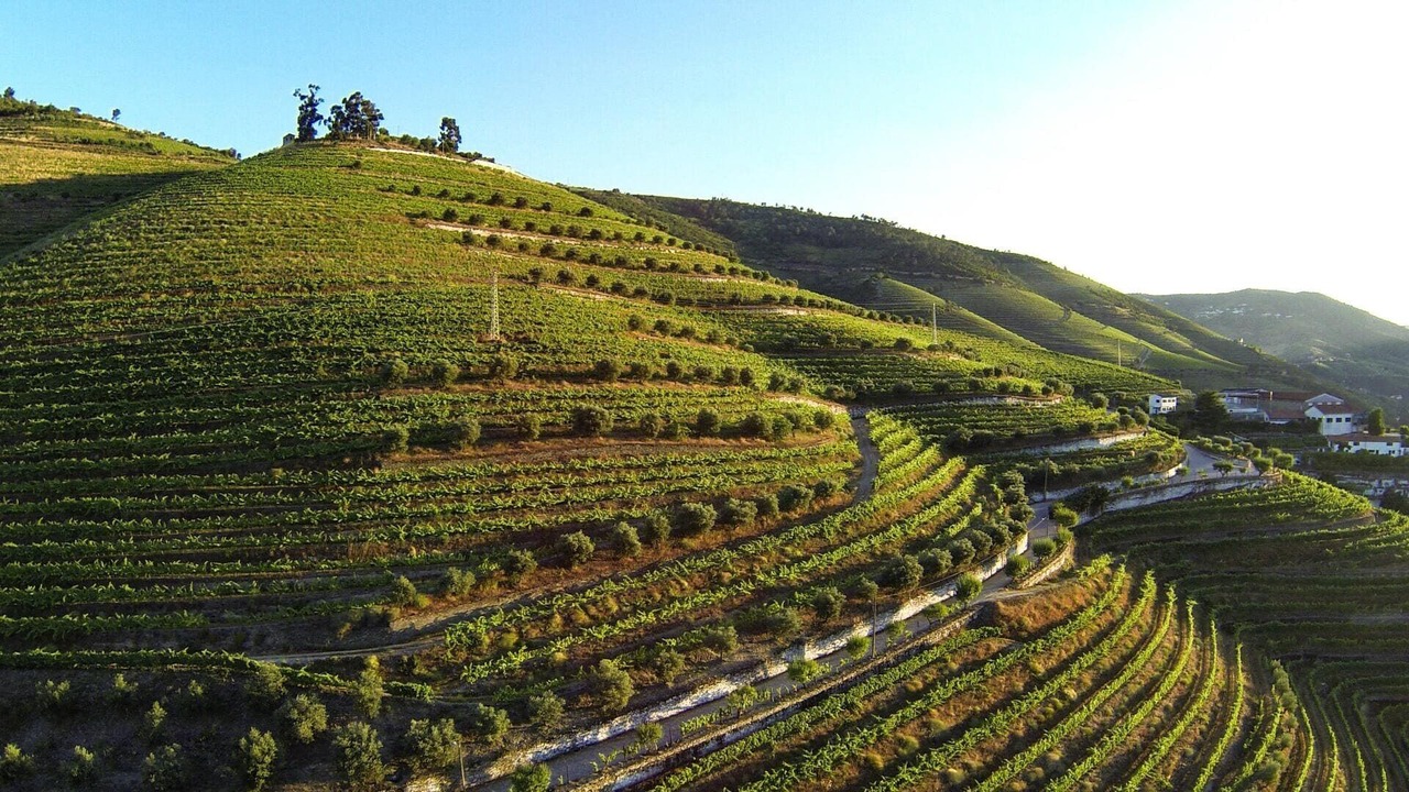 Photo of Others in Valenca do Douro