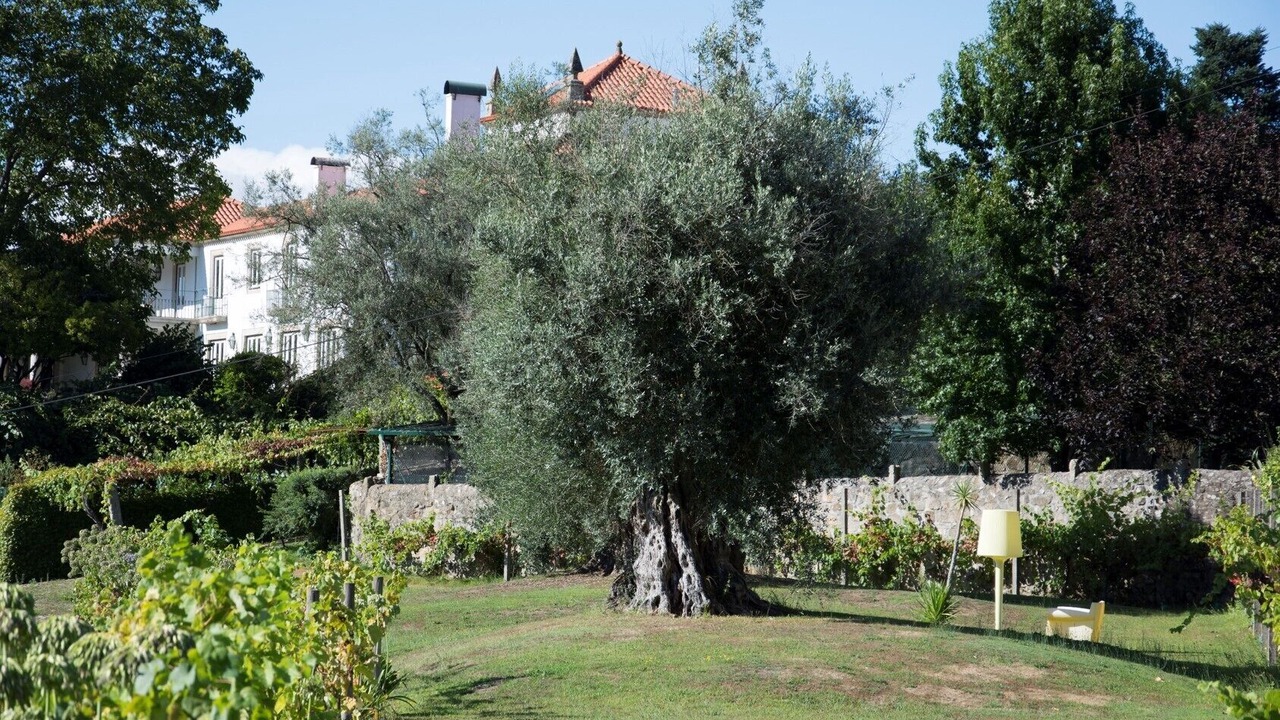 Photo of Outdoor in Facha