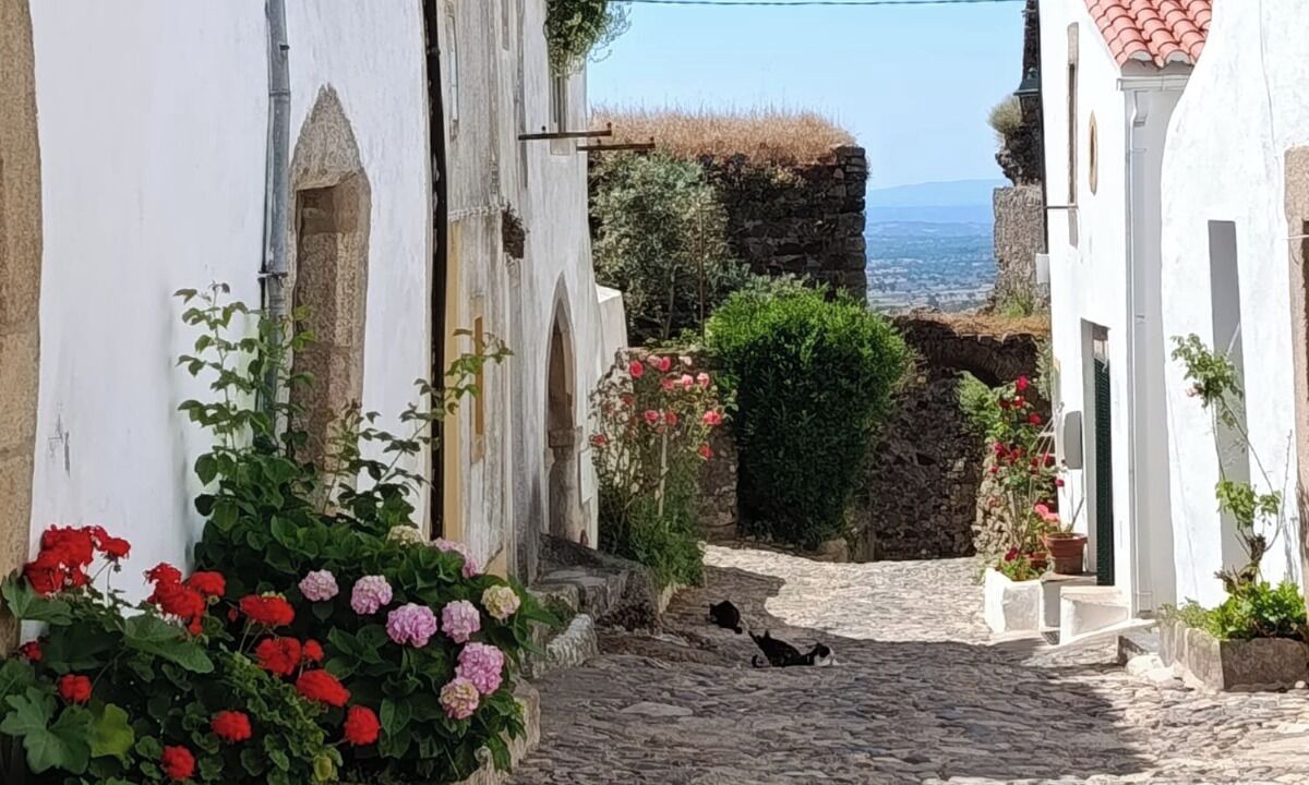 Photo of Outdoor in Santiago Maior