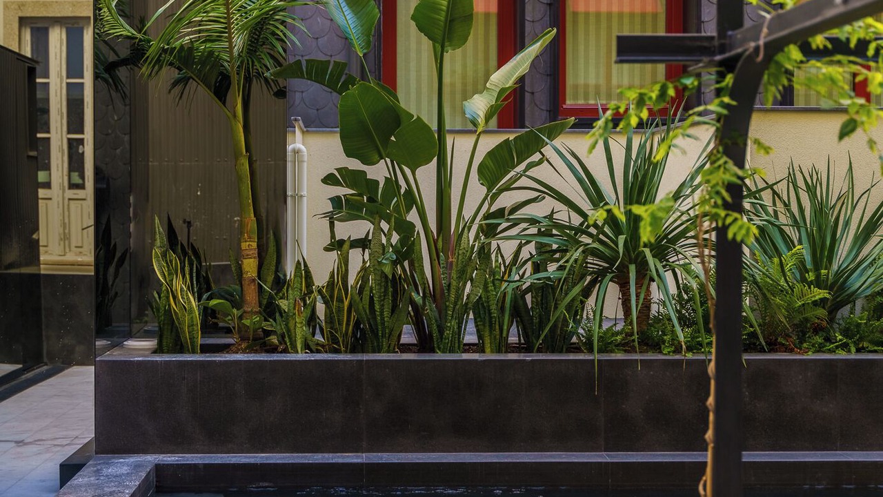 Photo of Outdoor in Centro / Baixa