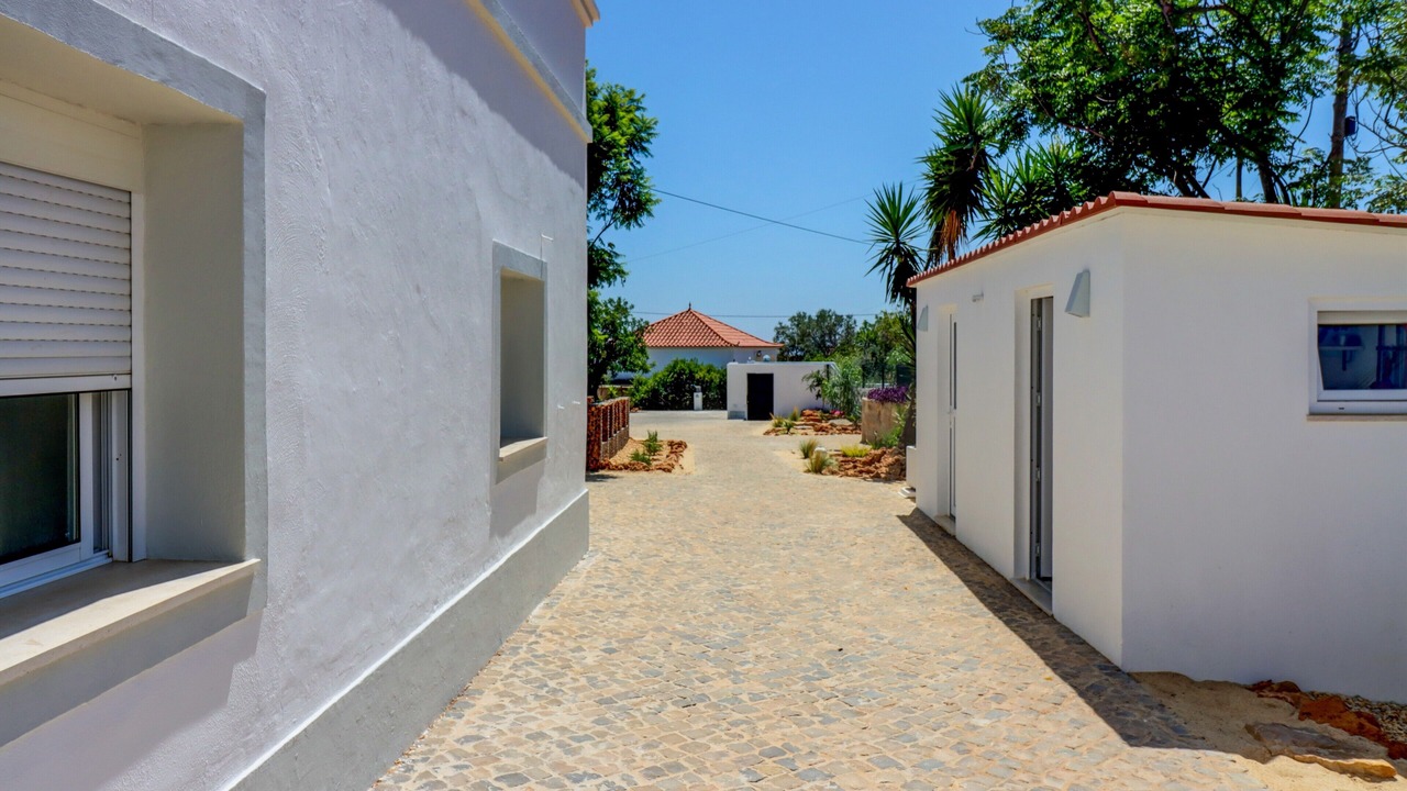 Photo of Outdoor in Calicos