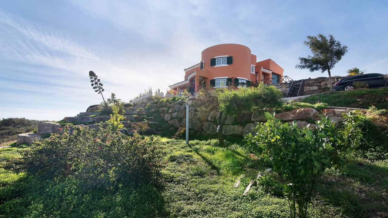 Photo of Outdoor in Picota