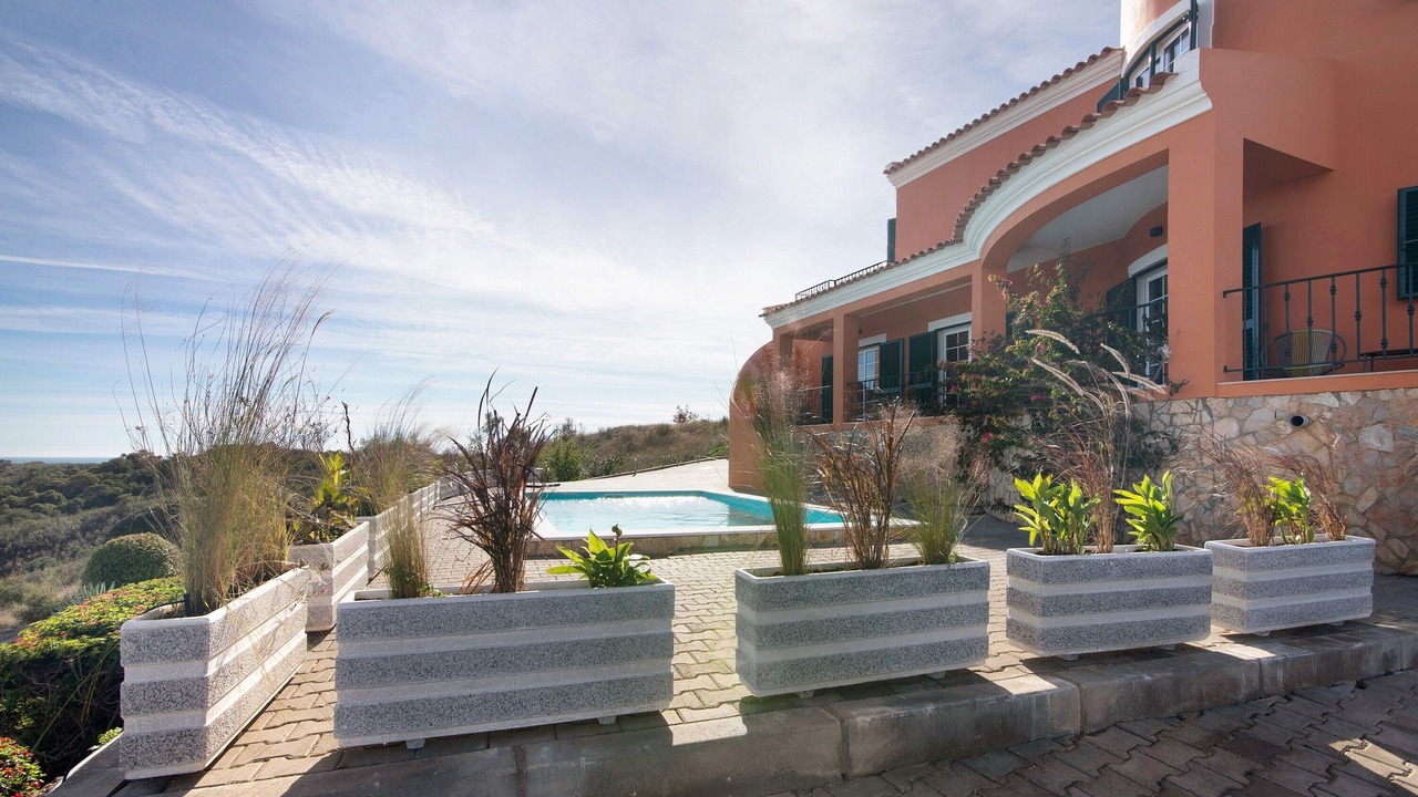 Photo of Outdoor in Picota