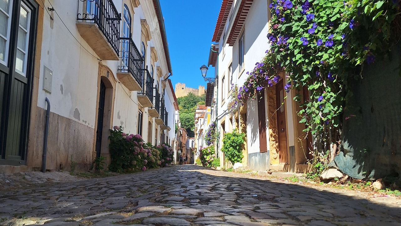 Photo of Outdoor in Tomar