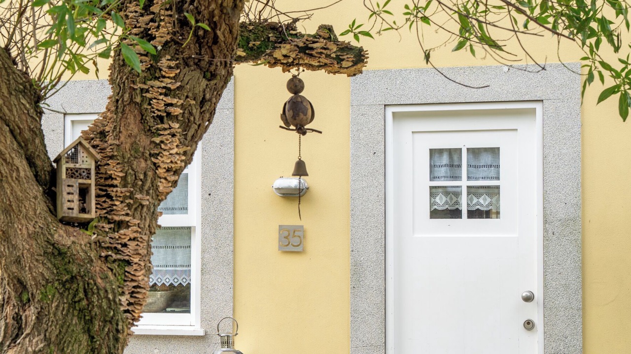 Photo of Outdoor in Vila Nova de Cerveira