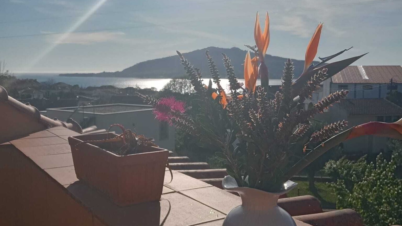 Photo of Outdoor in Seixas