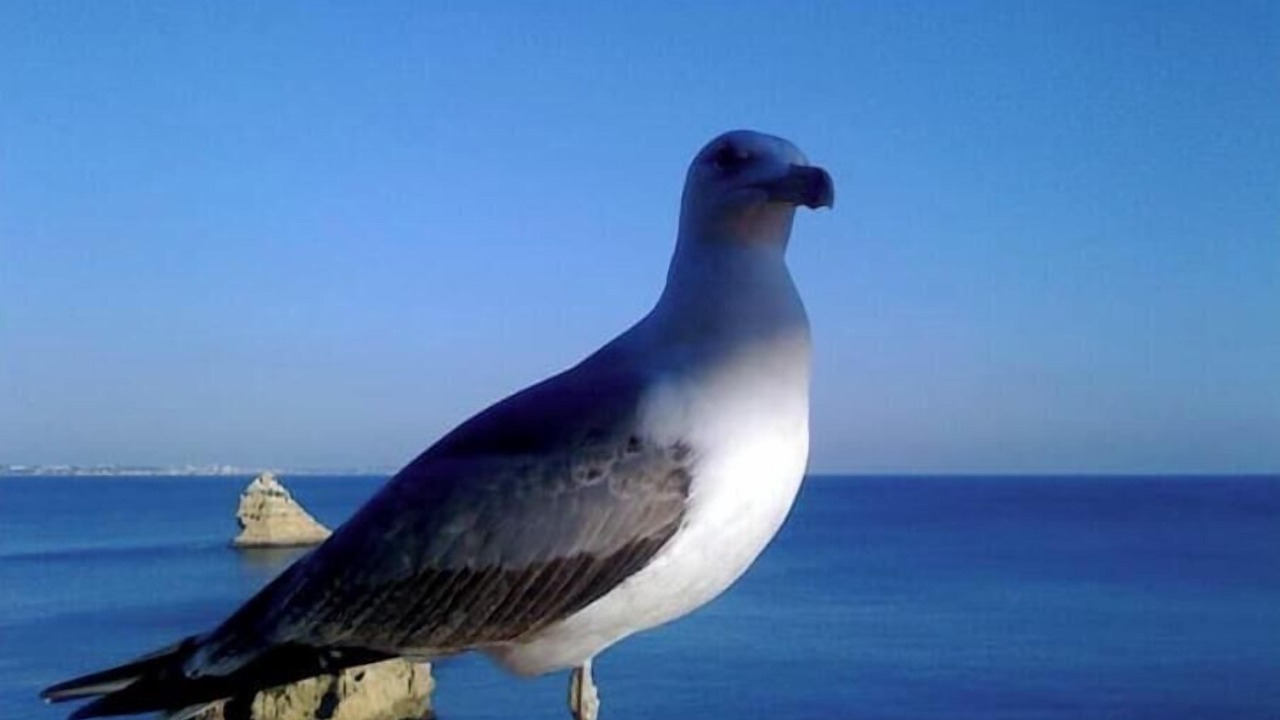 Photo of Others in Lagos