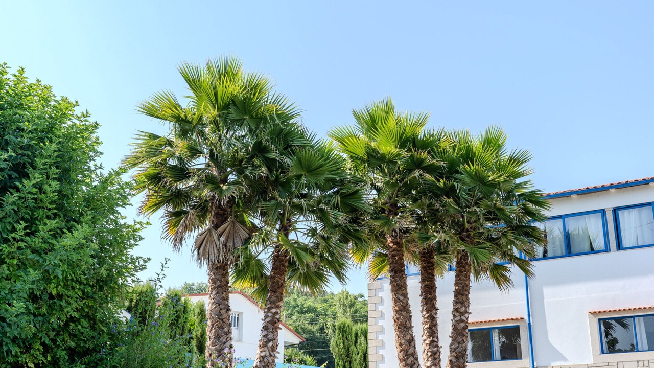 Photo of Outdoor in Portela