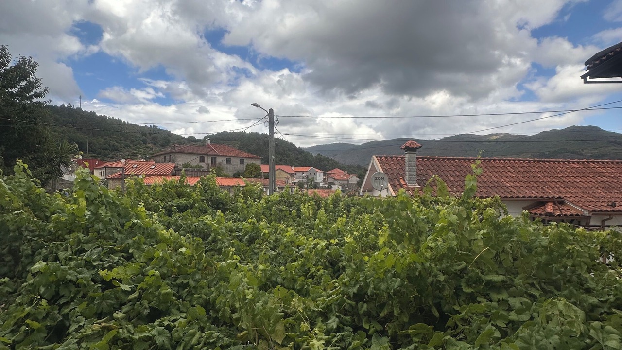 Photo of Others in Soajo