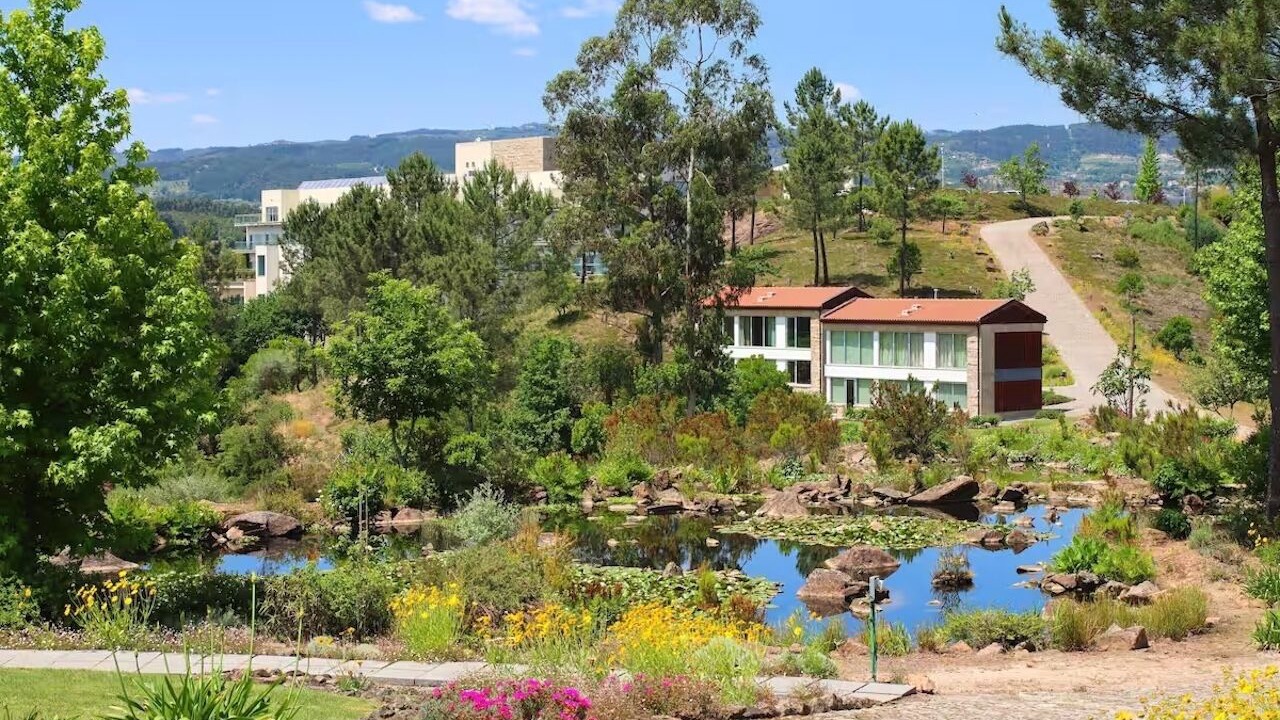 Photo of Outdoor in Molares