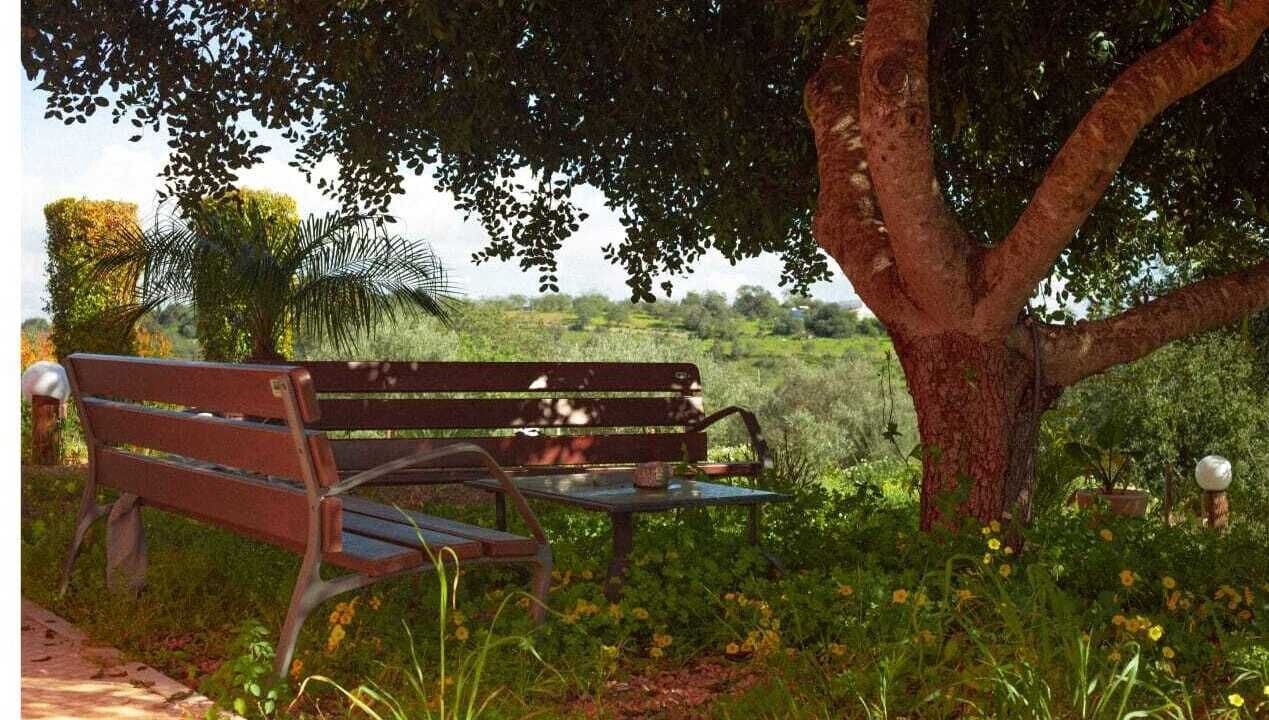 Photo of Outdoor in Boliqueime