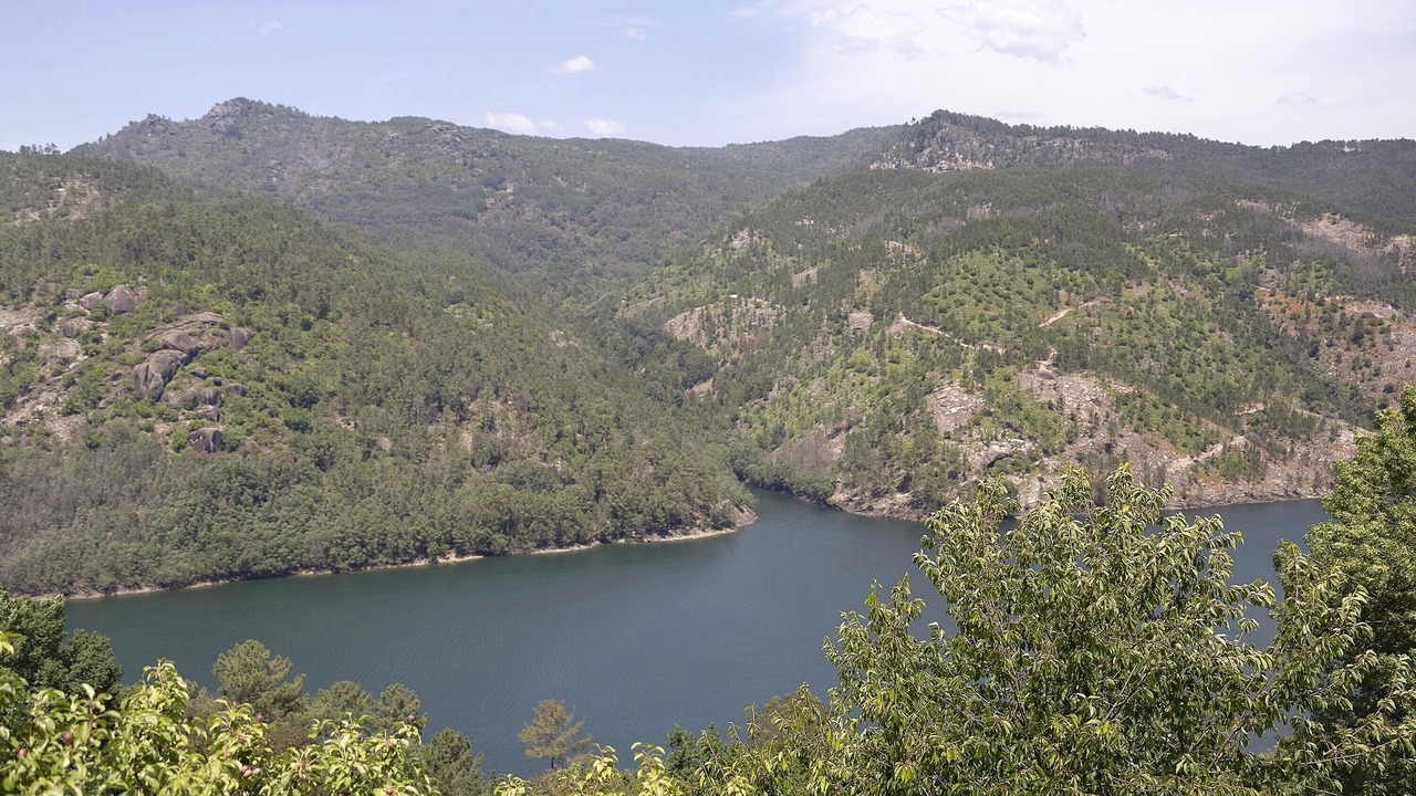 Photo of Others in Cova