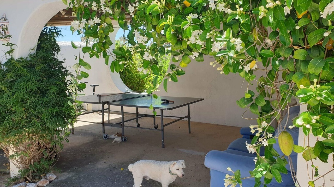 Photo of Patio Balcony in Cerro do Mocho
