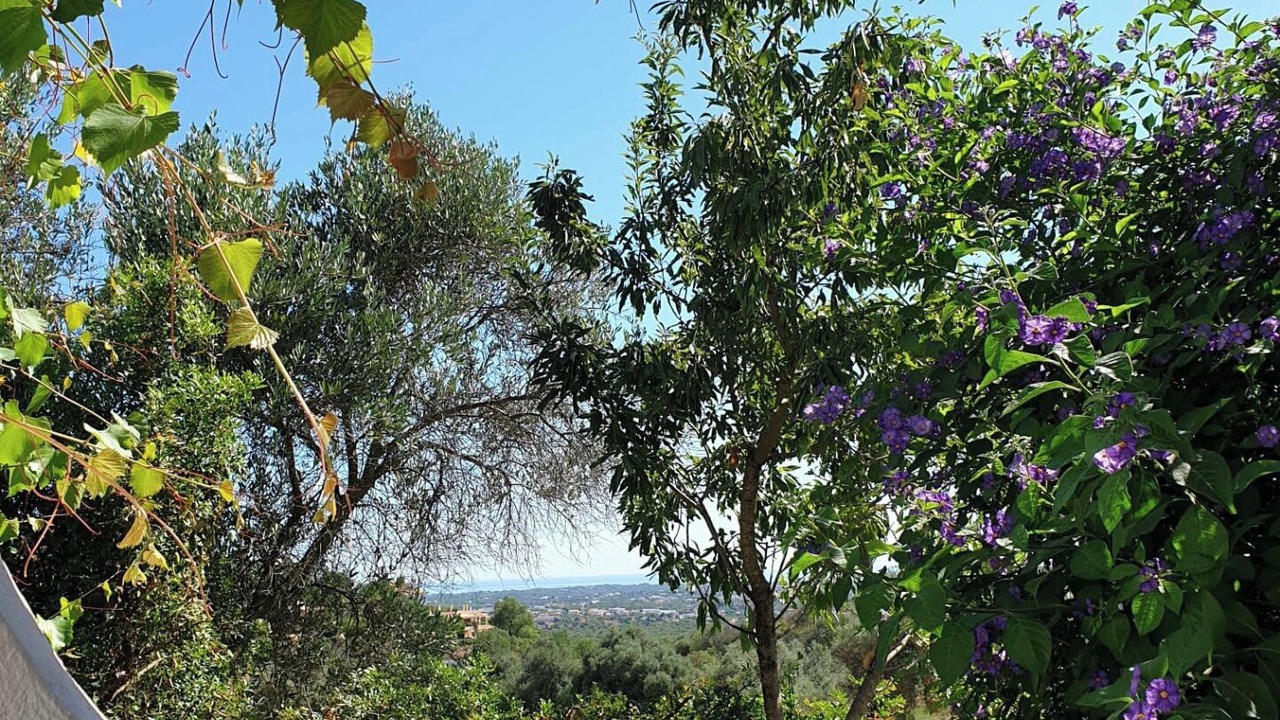 Photo of Outdoor in Cerro do Mocho