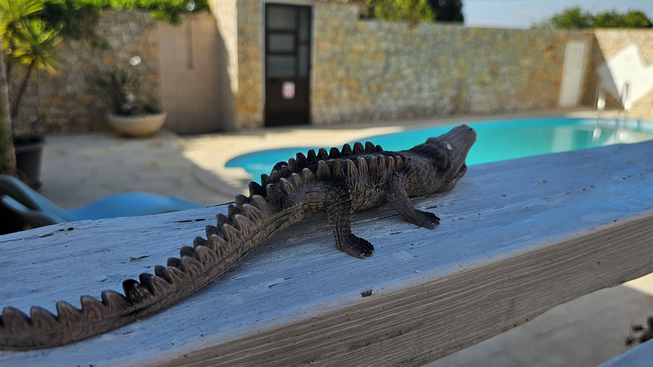 Photo of Outdoor in Moncarapacho e Fuseta