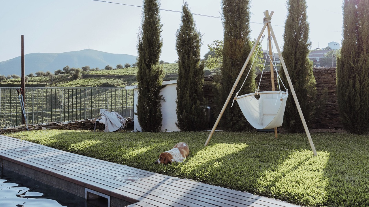 Photo of Outdoor in Provesende