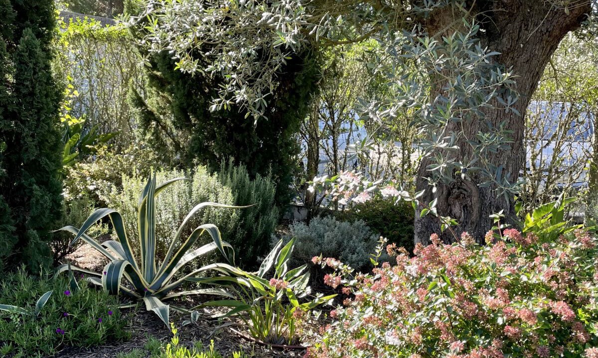 Photo of Outdoor in Aldeia do Meco
