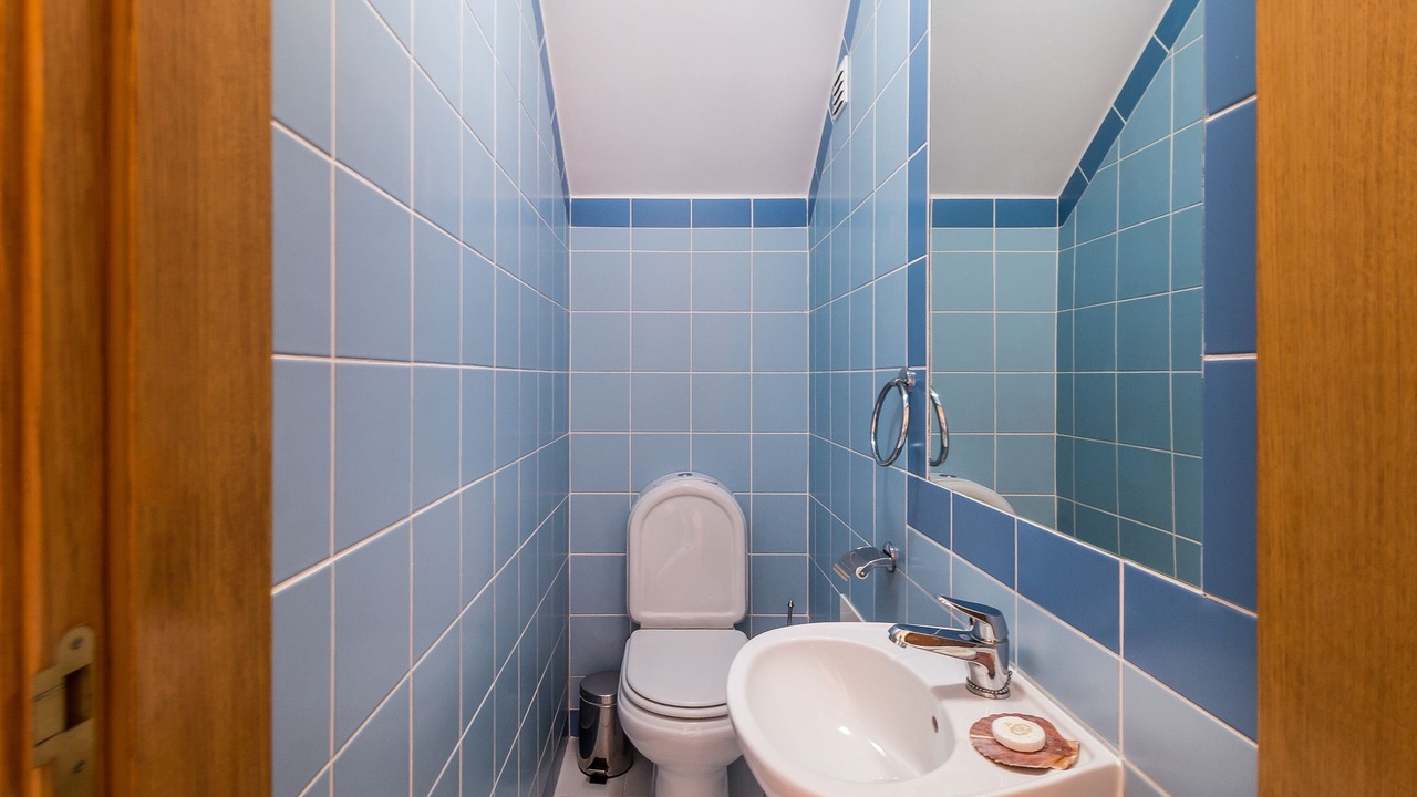 Photo of Bathroom in Meia Praia