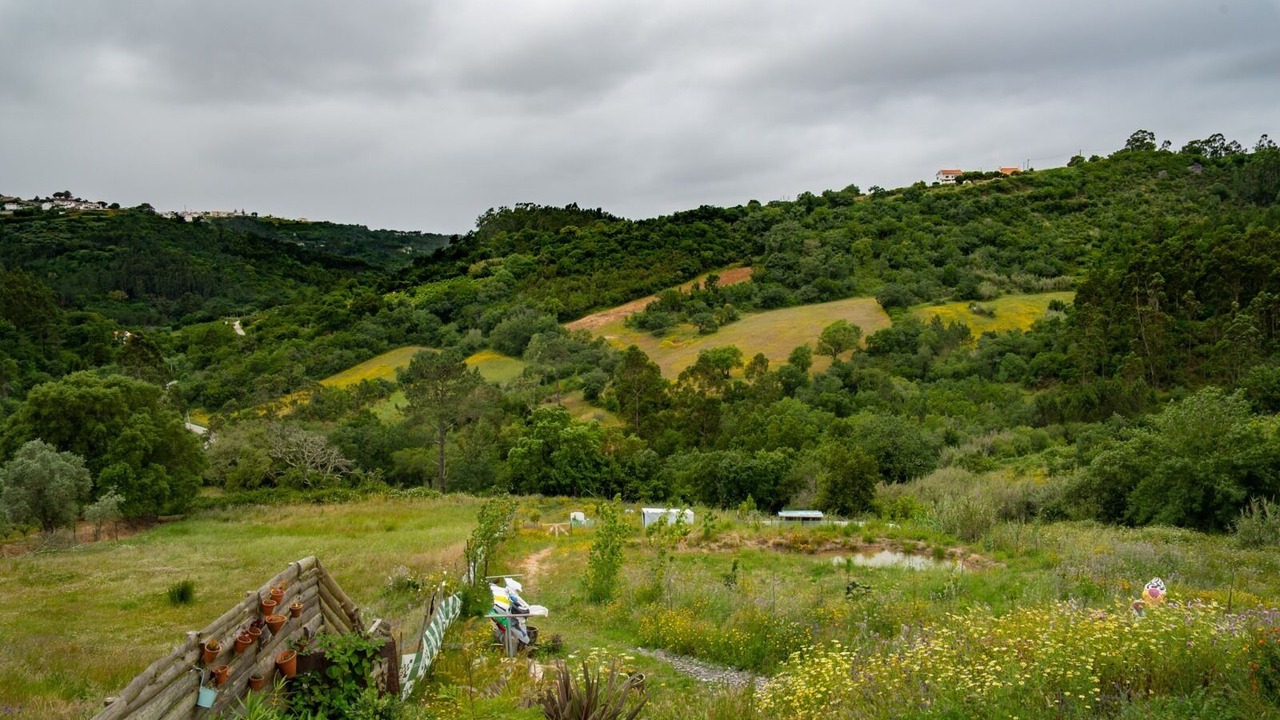 Photo of Outdoor in Mafra