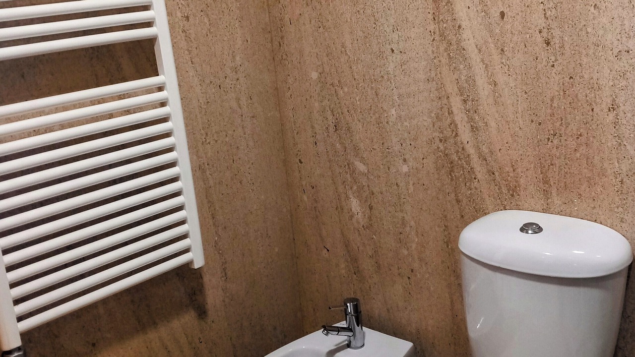 Photo of Bathroom in Portela