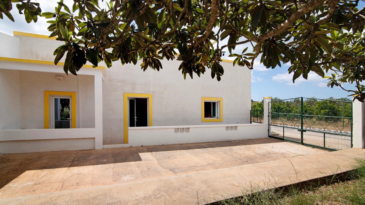 Photo of Patio Balcony in Fonte do Bispo