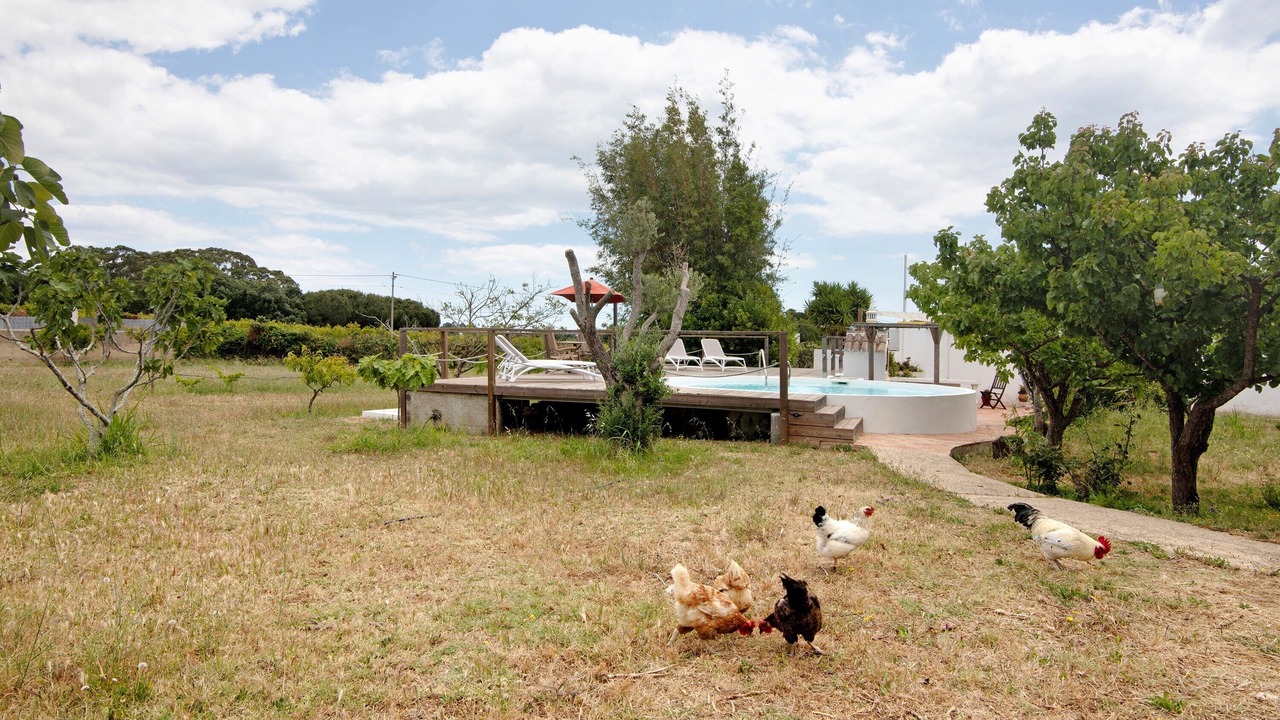 Photo of Outdoor in Fonte do Bispo