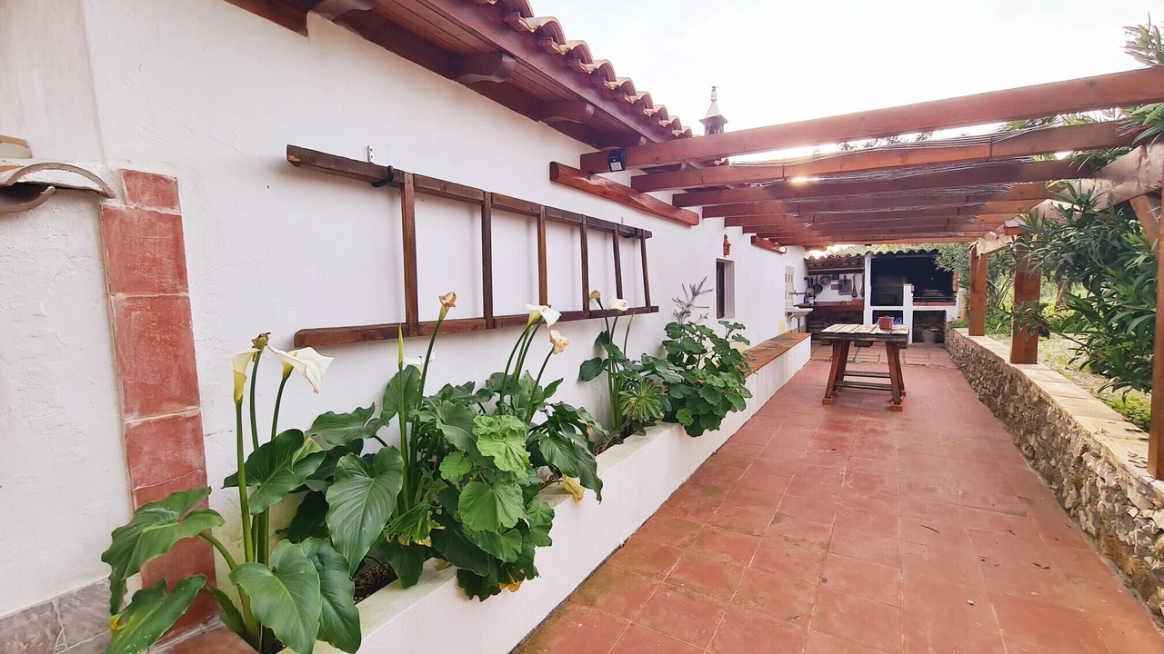 Photo of Outdoor in Colegio