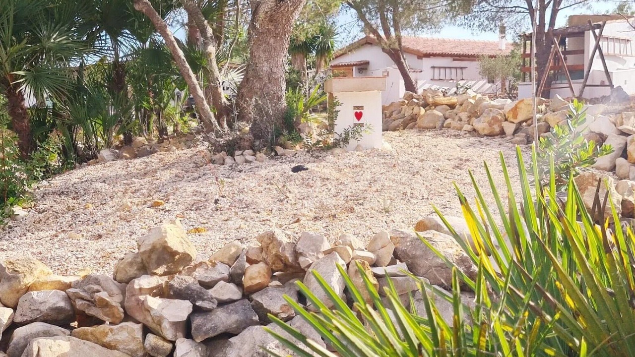 Photo of Outdoor in Colegio