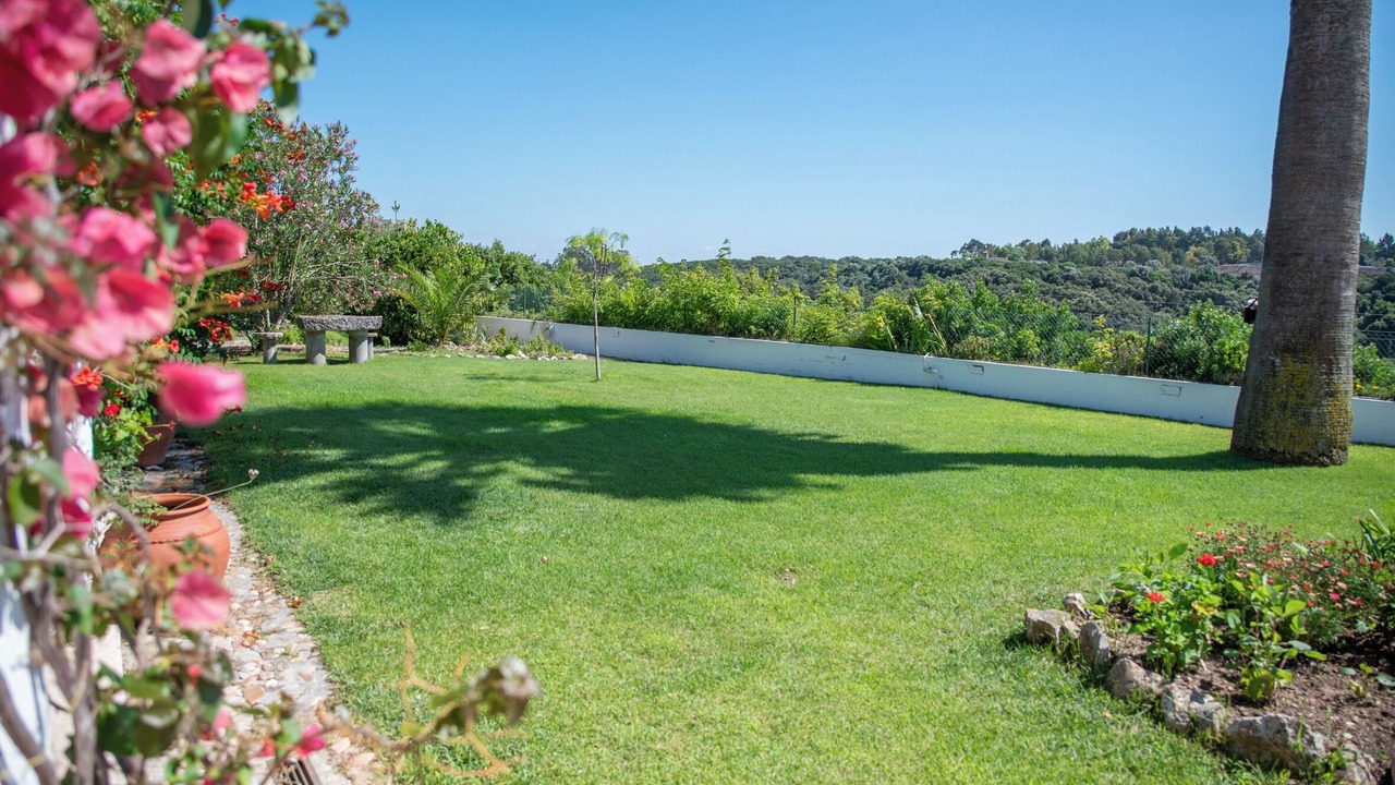 Photo of Outdoor in Santarem