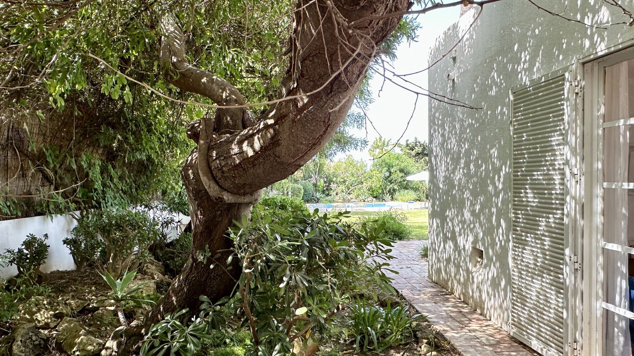 Photo of Outdoor in Gale