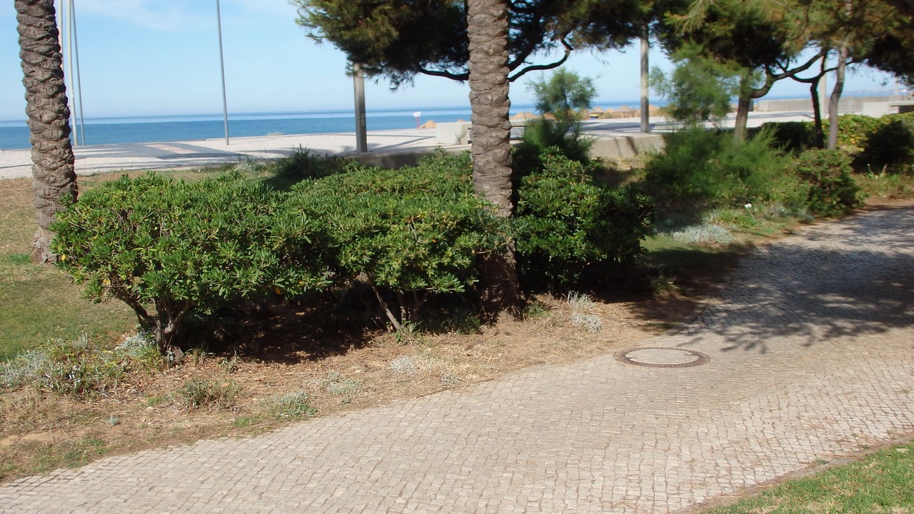 Photo of Outdoor in Cavacos