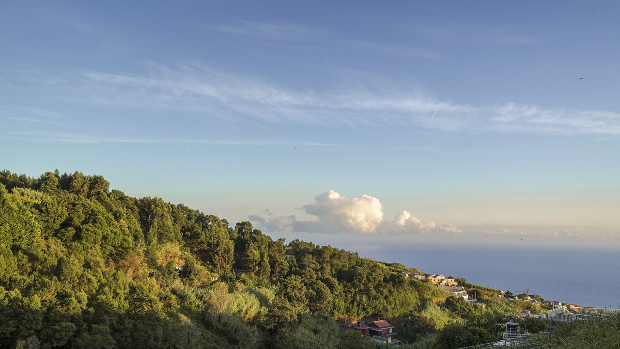 Photo of Outdoor in Canhas