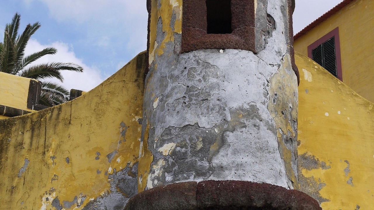 Photo of Others in Canhas