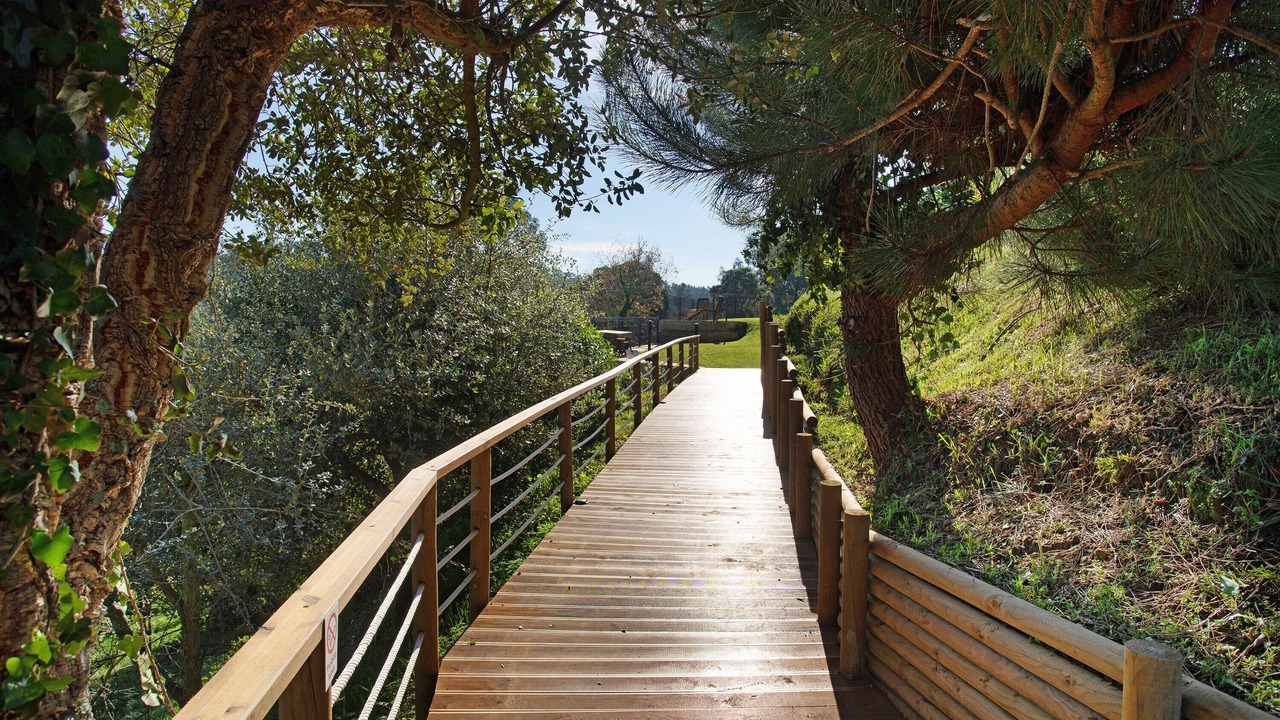 Photo of Outdoor in Alcobaca