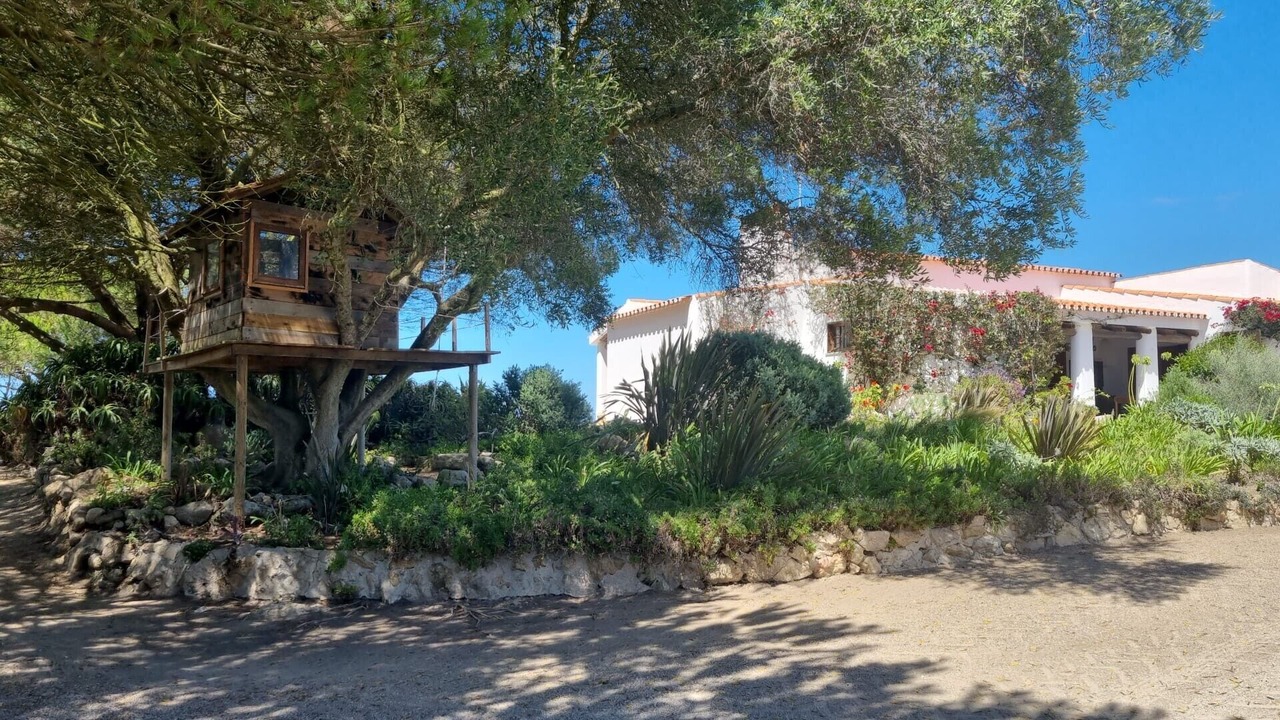 Photo of Outdoor in Azoia