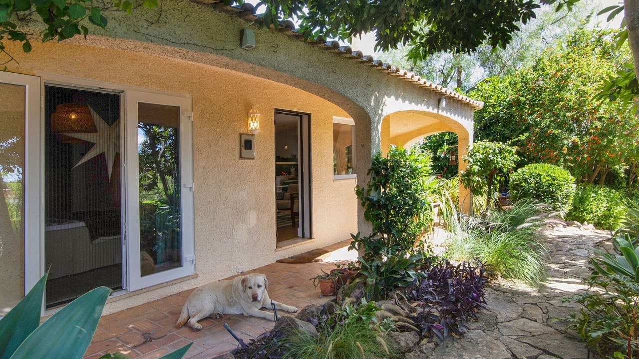 Photo of Outdoor in Vale Judeu