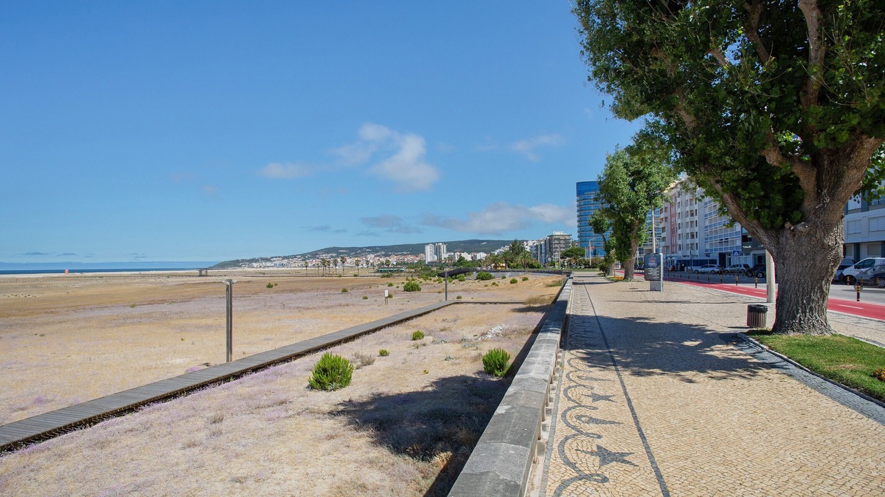 Photo of Others in Sao Juliao da Figueira da Foz