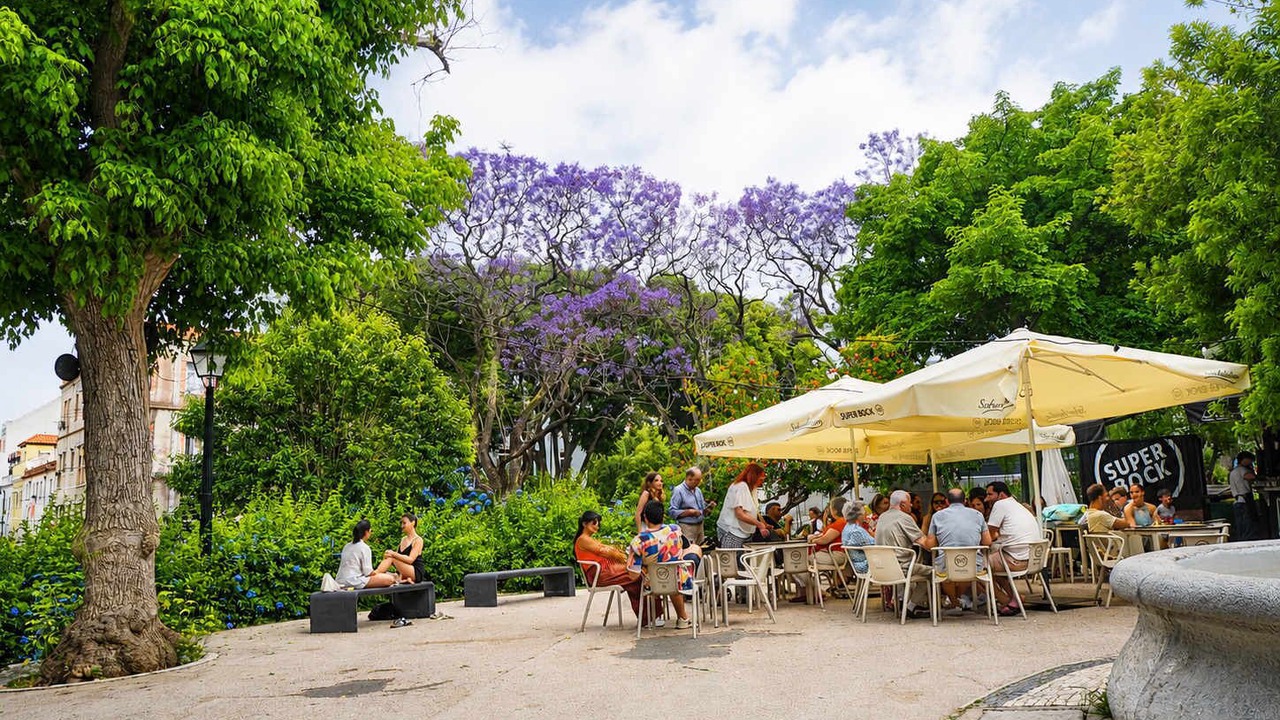 Photo of Others in Santo Amaro