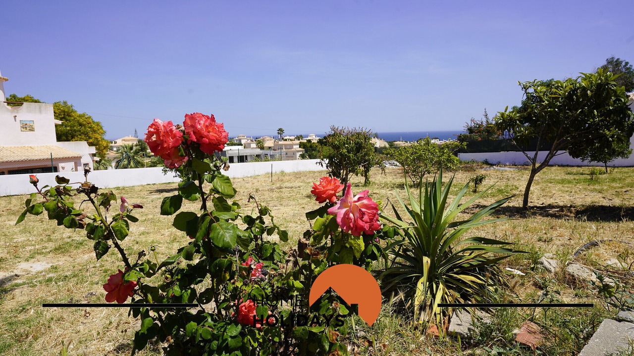 Photo of Outdoor in Sesmarias