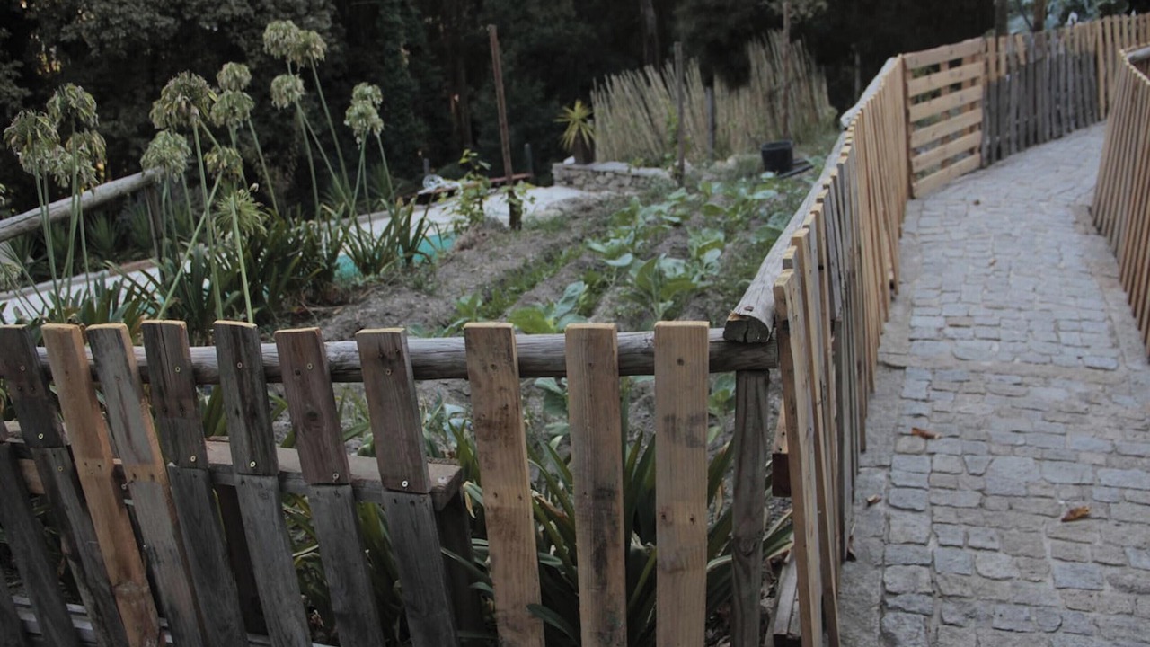 Photo of Outdoor in Beijos