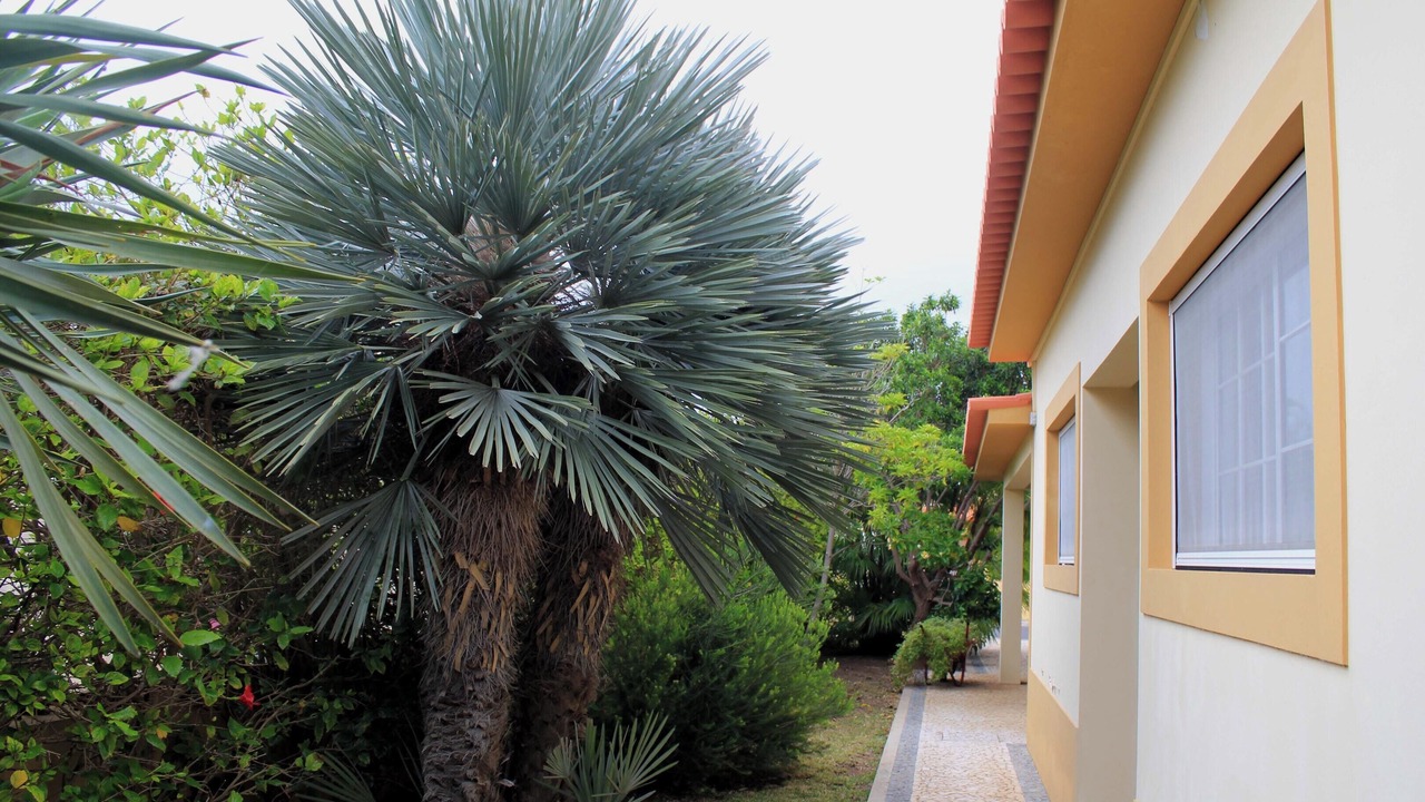 Photo of Outdoor in Campo de Baixo