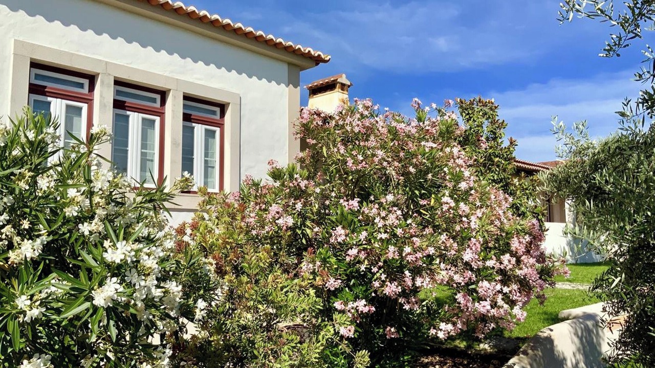 Photo of Outdoor in Pedrogao