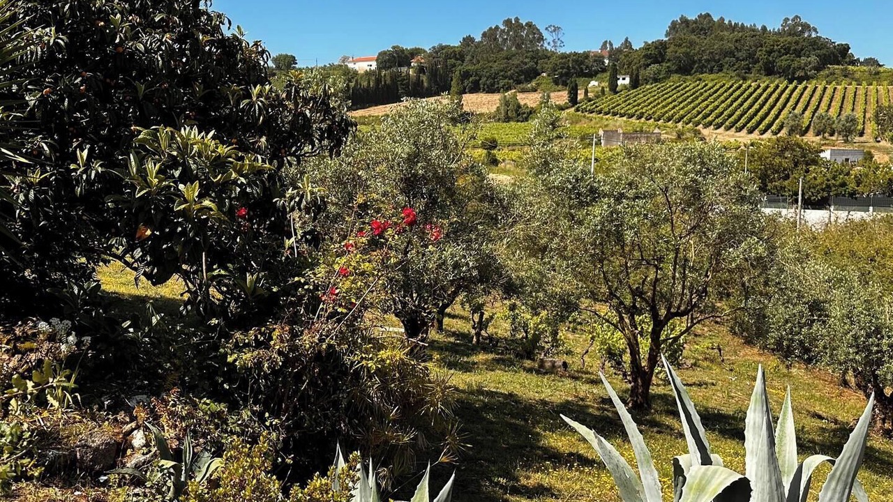 Photo of Outdoor in Evora de Alcobaca