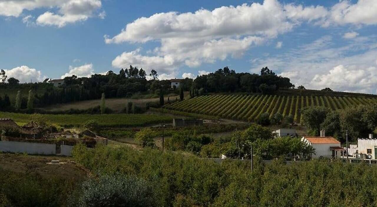 Photo of Others in Evora de Alcobaca