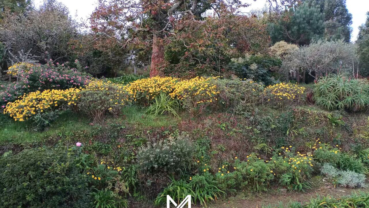 Photo of Outdoor in Vilarelho