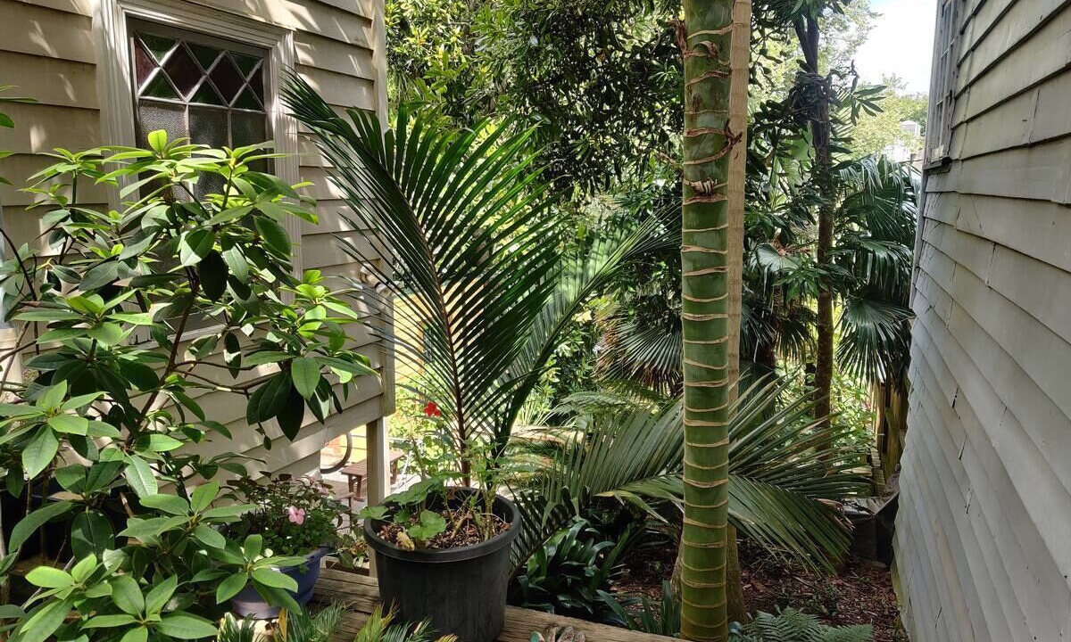 Photo of Outdoor in Newton