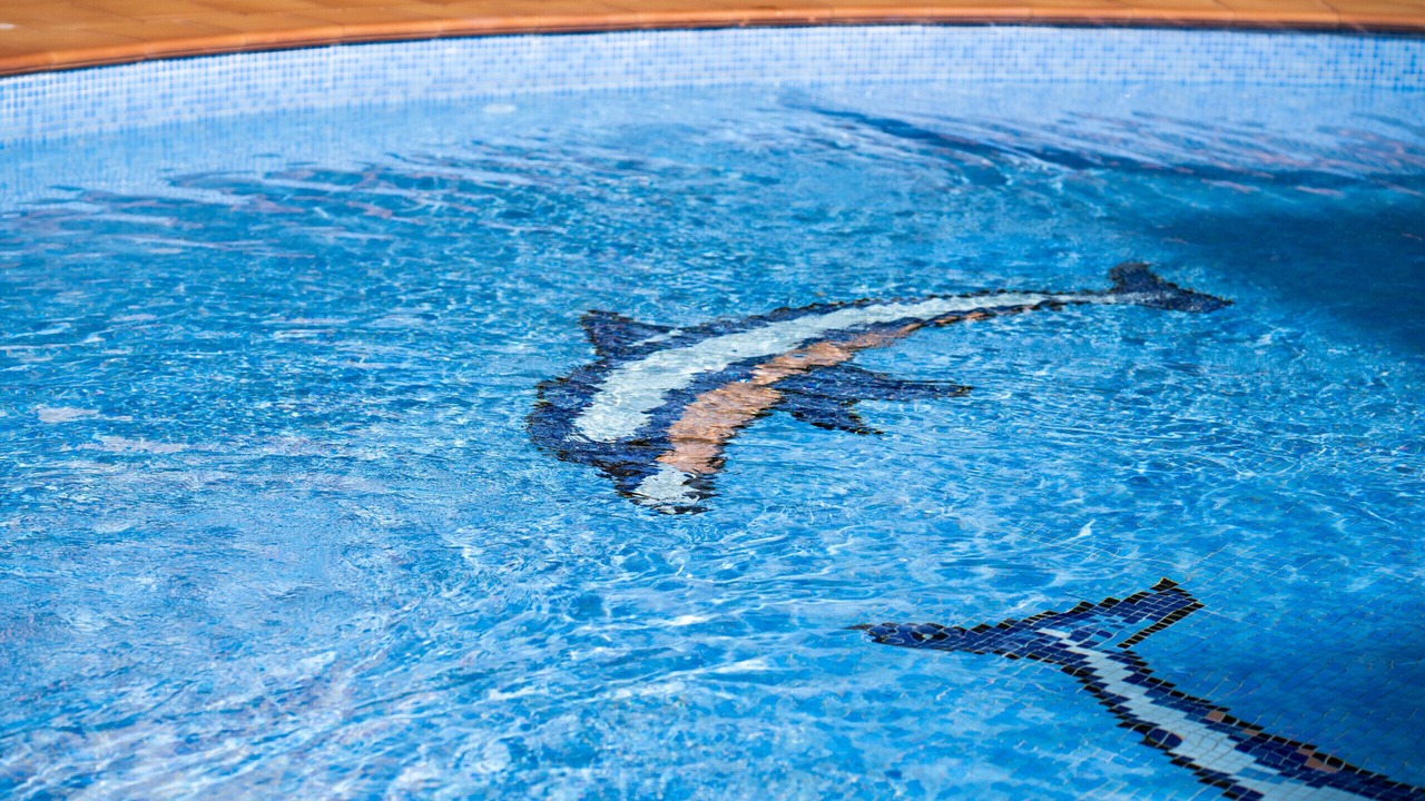 Photo of Outdoor in Vilamoura